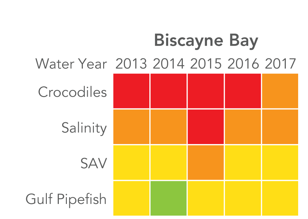Biscayne Bay: Crocodiles rated "very poor" 2013 to 2016, and "poor" in 2017. Salinity rated "poor" 2013 to 2014, "very poor" 2015, and "poor" 2016 to 2017. SAV rated "fair" 2013 to 2014, "poor" 2015, and "fair" 2016 to 2017. Gulf pipefish rated "fair" in 2013, "good" in 2014, and "fair" 2015 to 2017. 